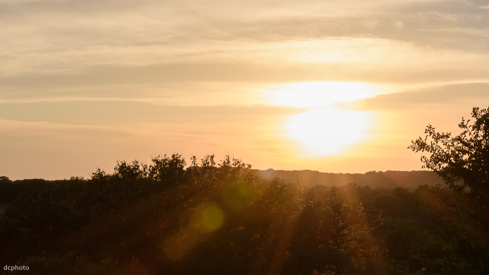 DSC_1945-2.jpg