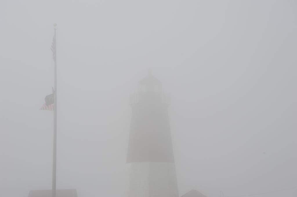 DSC_1945.jpg