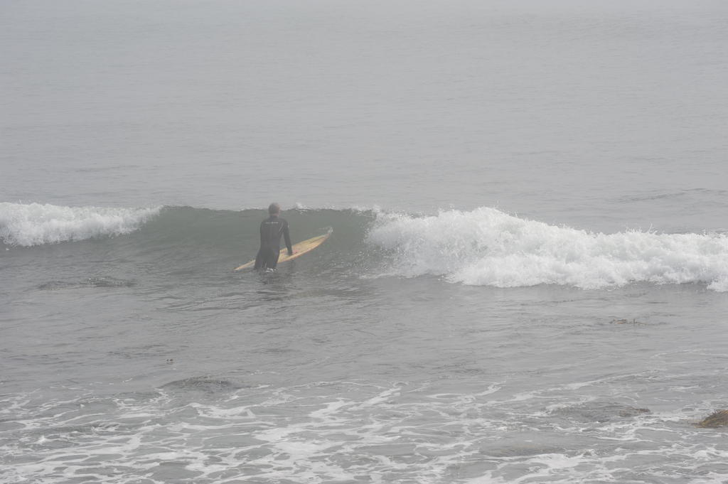 DSC_1949.jpg