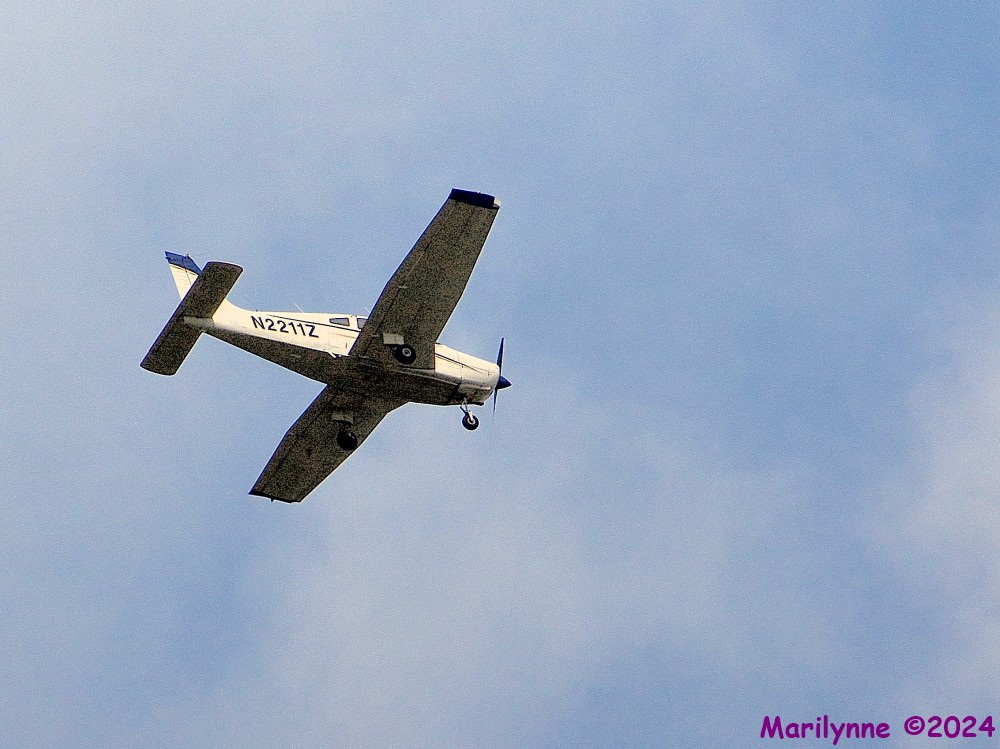 DSC_1949_001.JPG