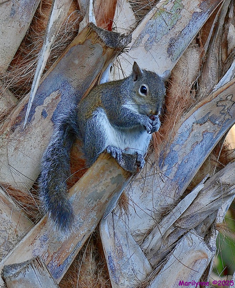 DSC_1959_001.JPG