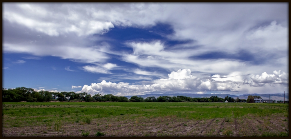 DSC_1961.jpg