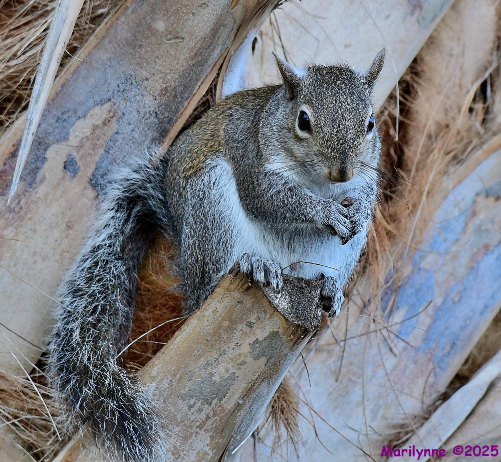 DSC_1964_001.JPG