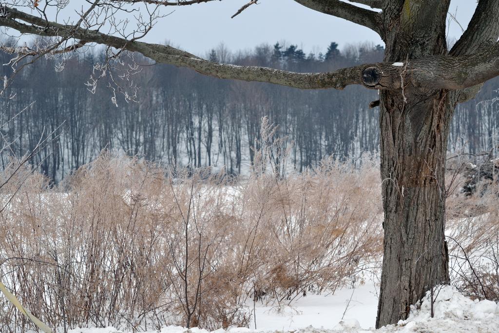 DSC_1965.jpg