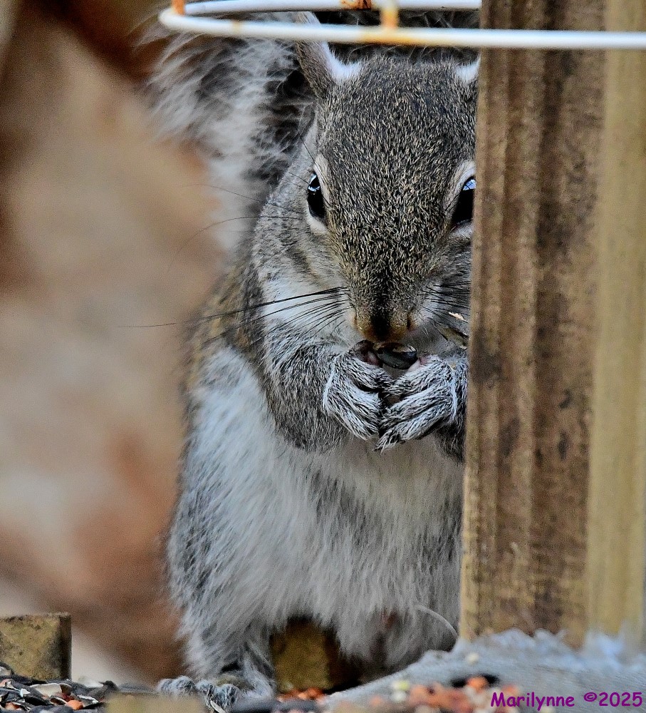 DSC_1965_001.JPG