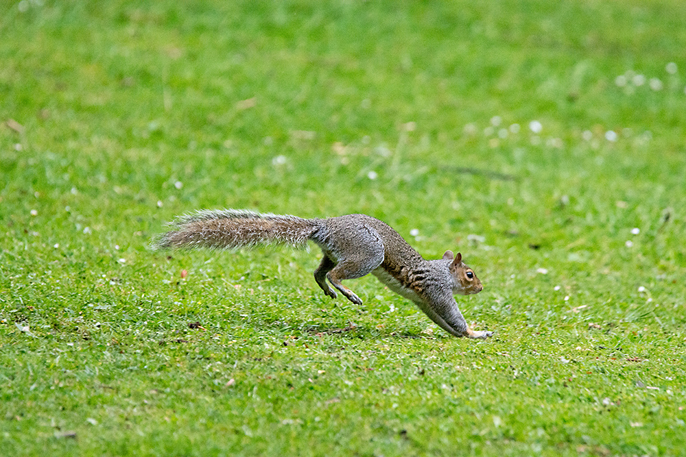 DSC_1970.jpg