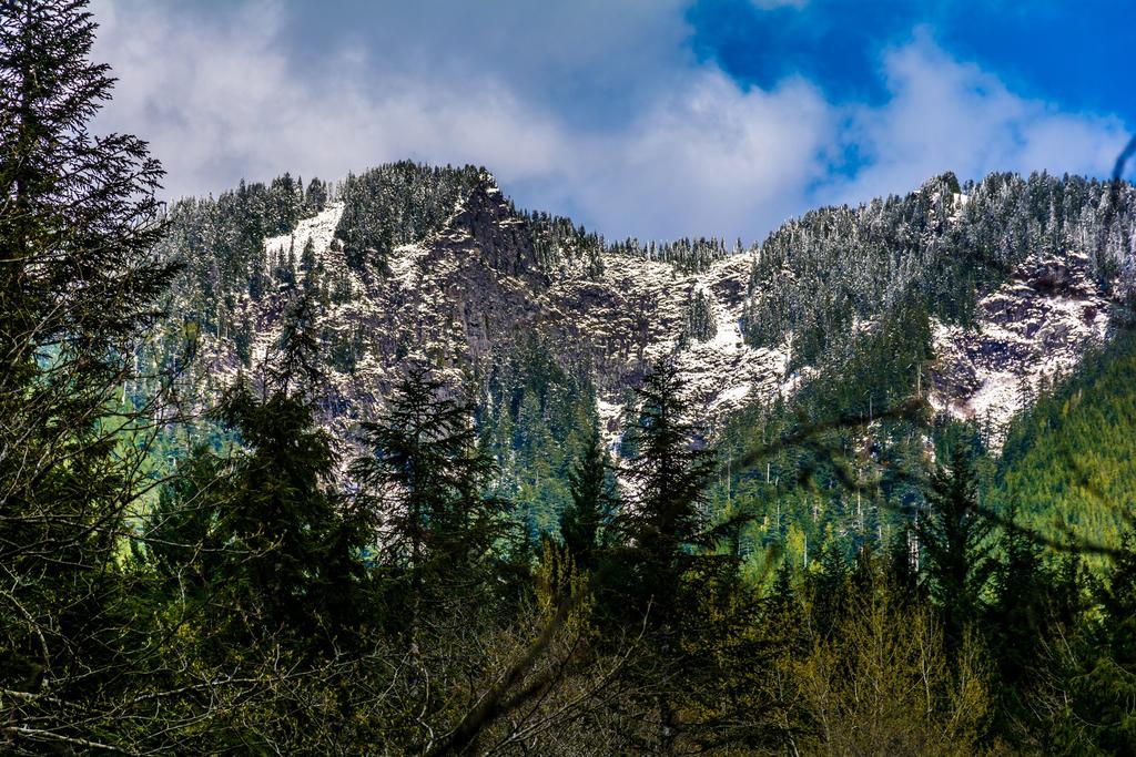 DSC_1972.jpg