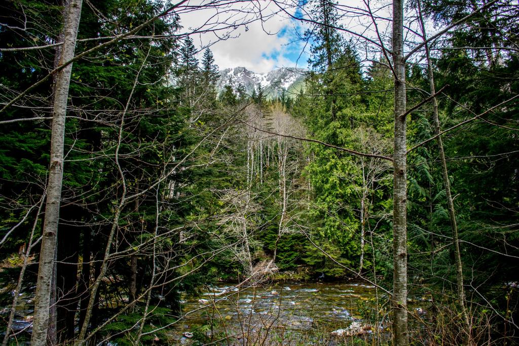 DSC_1974.jpg