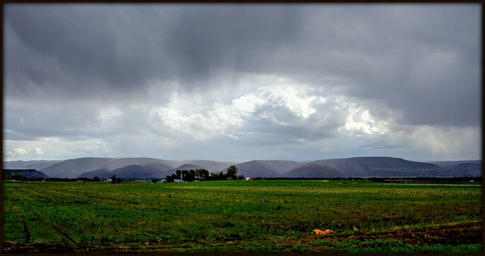 DSC_1974.jpg