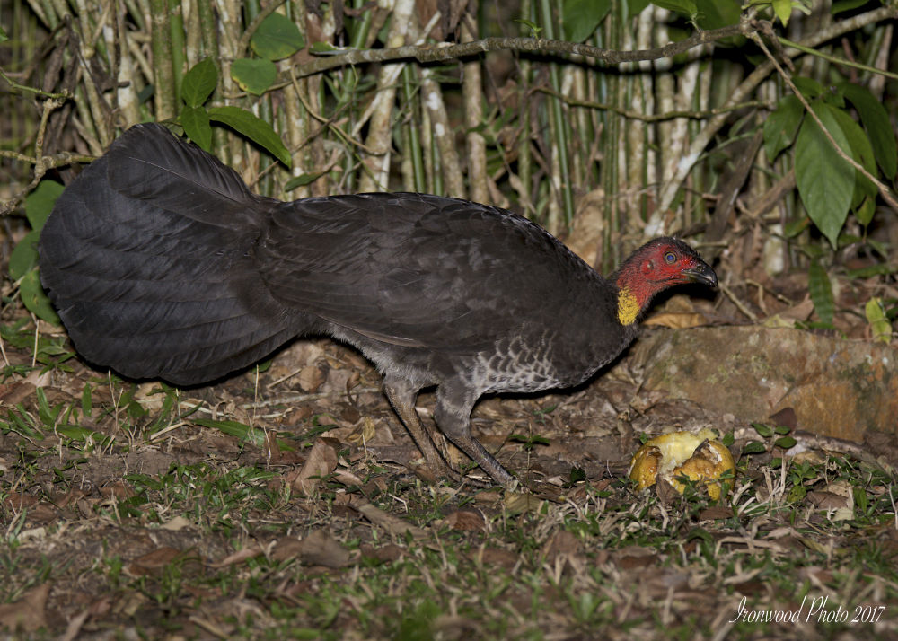 DSC_1976.jpg