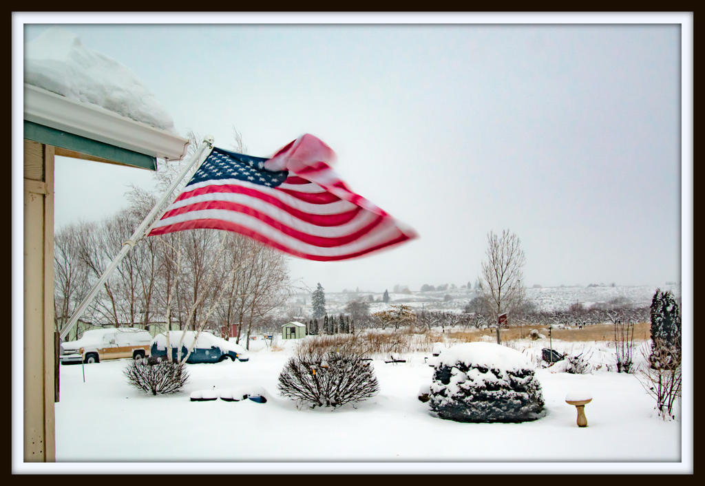 DSC_1982.jpg