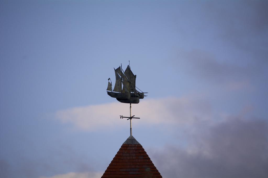 DSC_1984.jpg