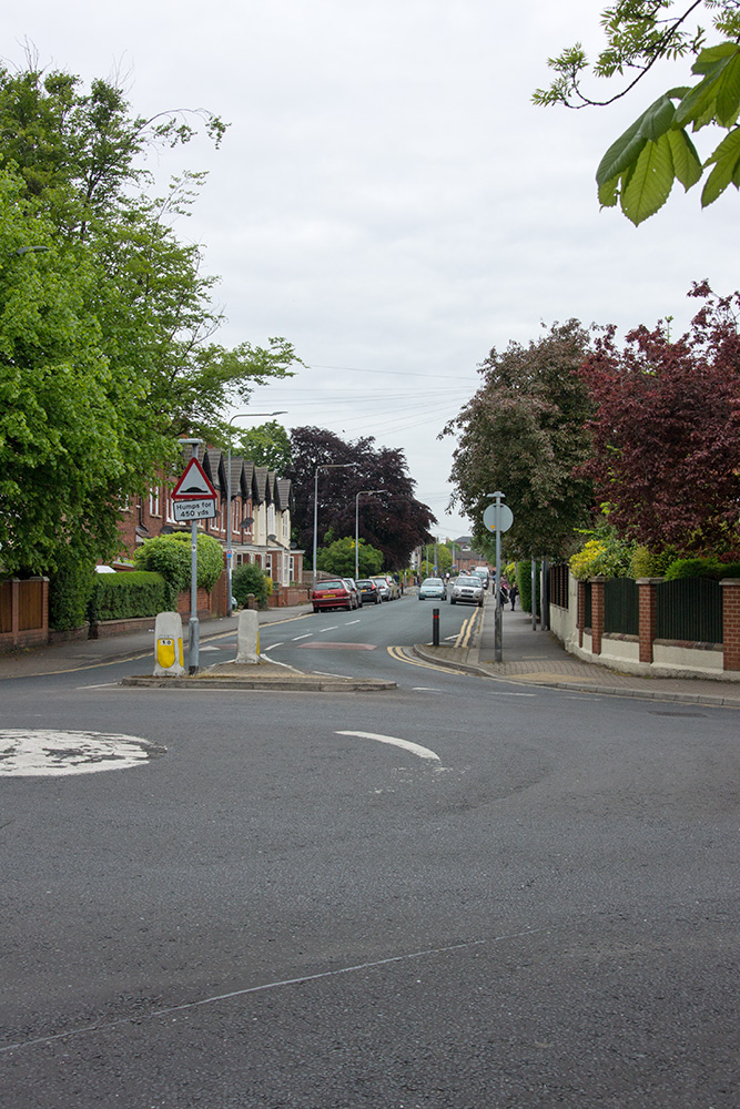 DSC_1986.jpg