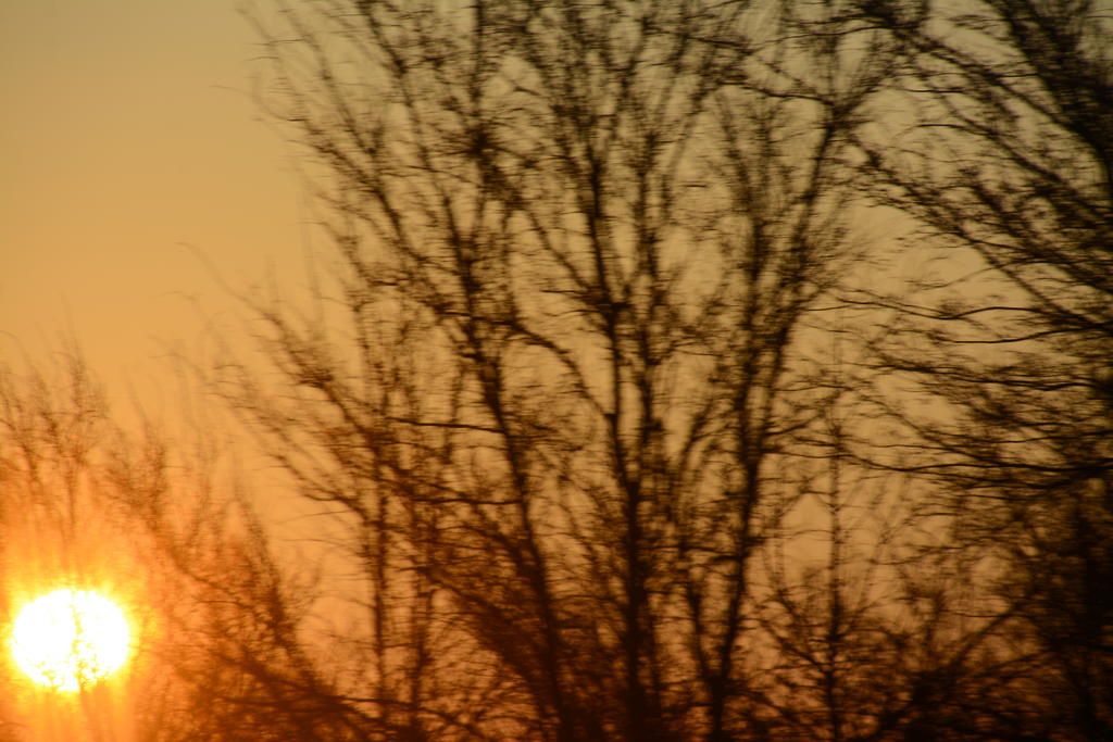 DSC_2001.jpg