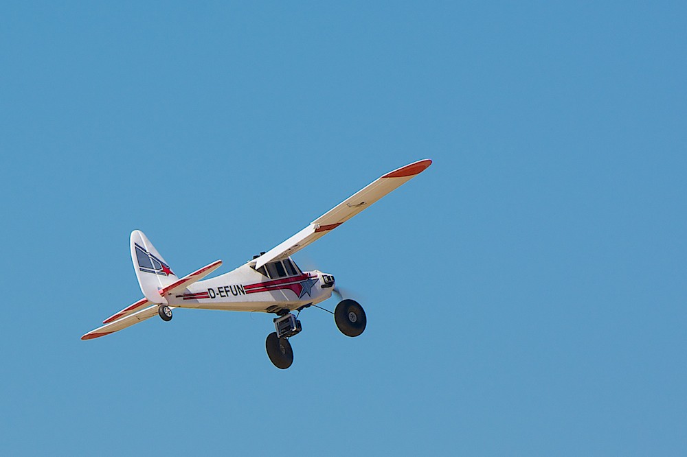 DSC_2007.jpg