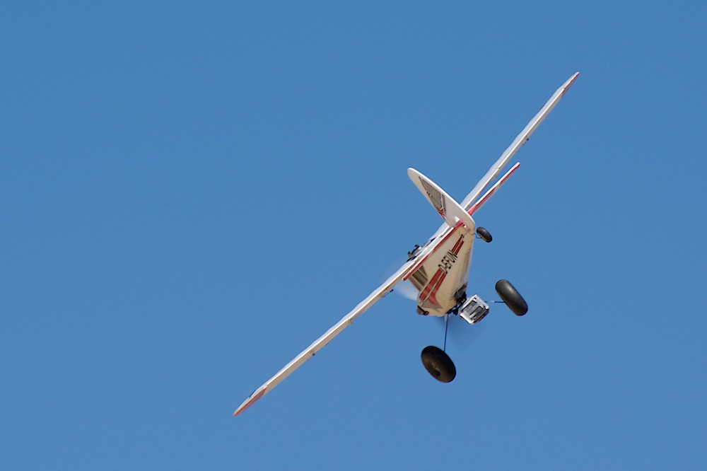 DSC_2008.jpg