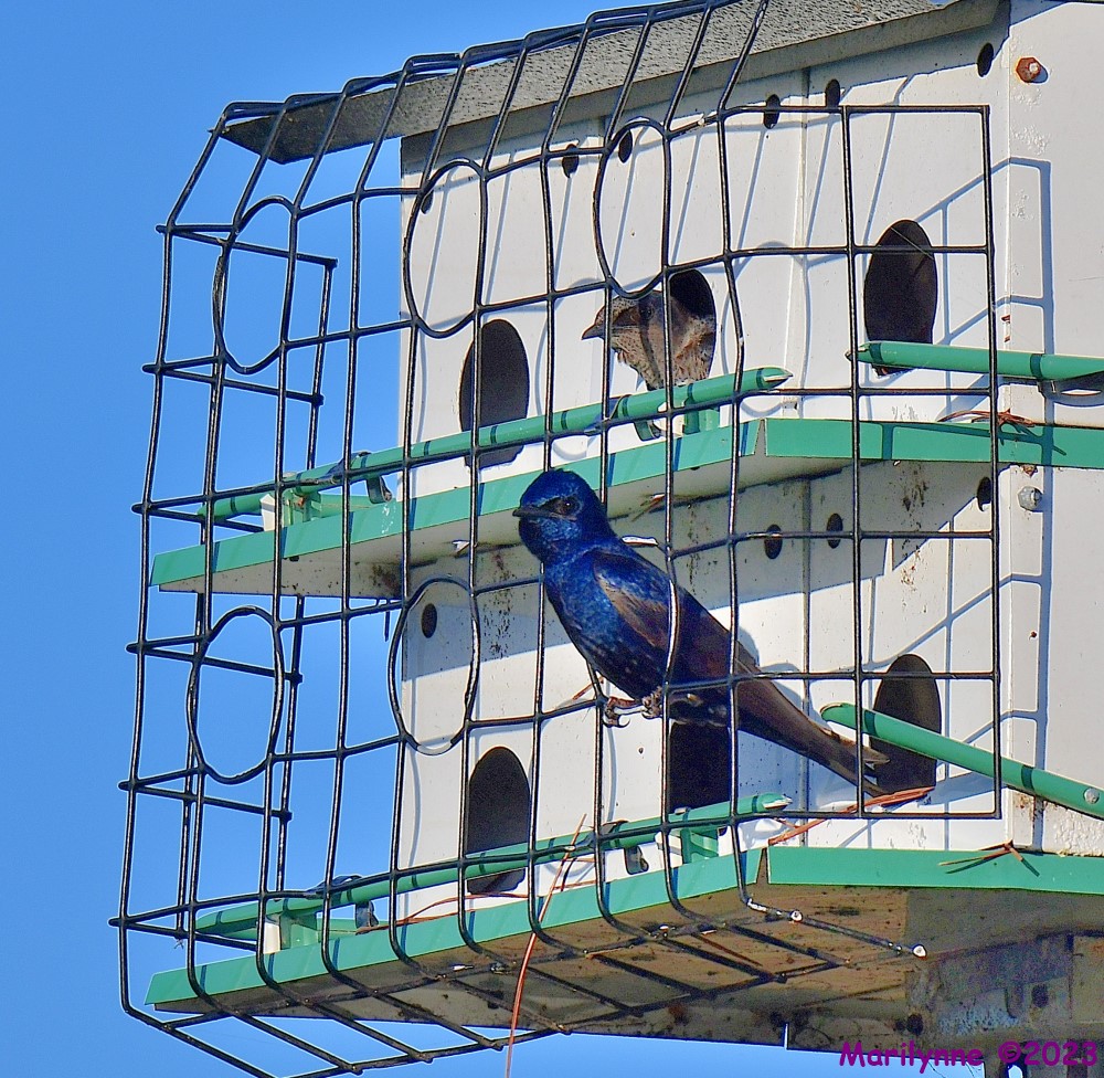 DSC_2015_001.JPG
