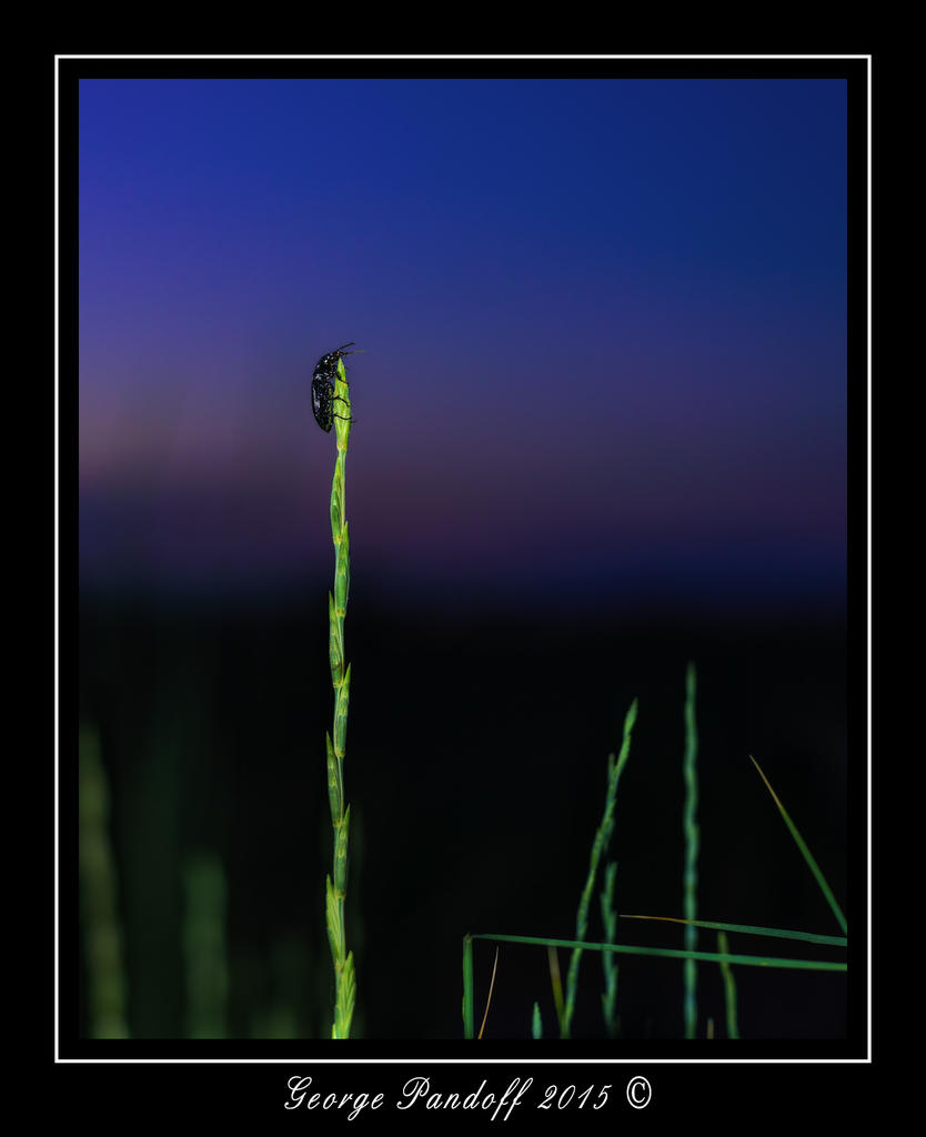 DSC_2021_Web.jpg