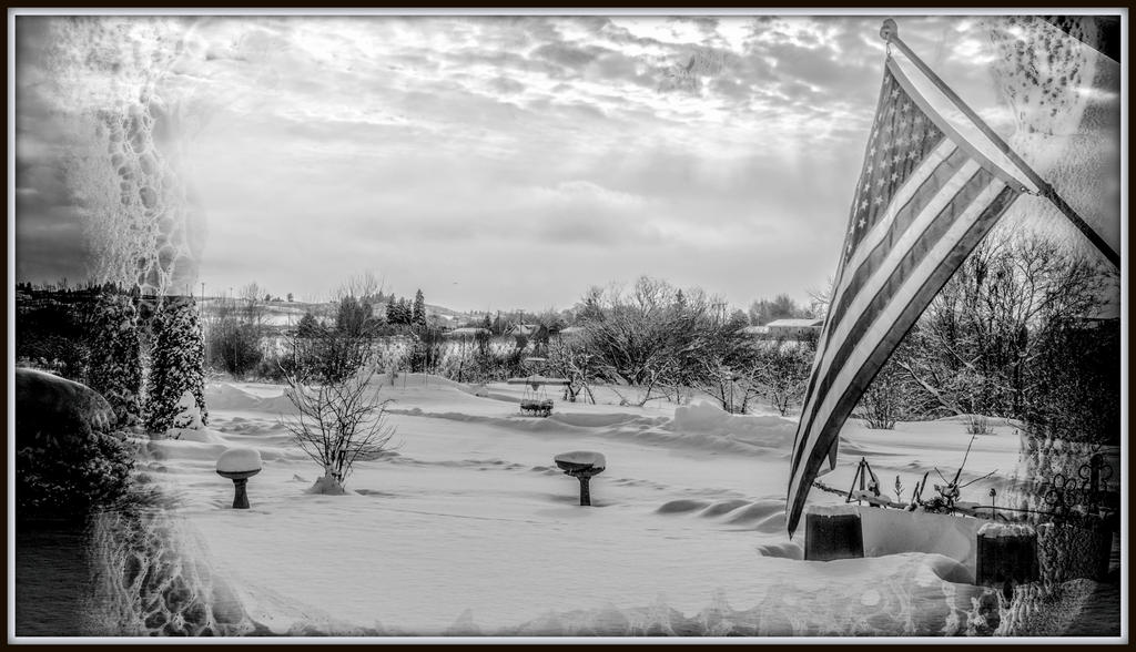 DSC_2022-Edit.jpg
