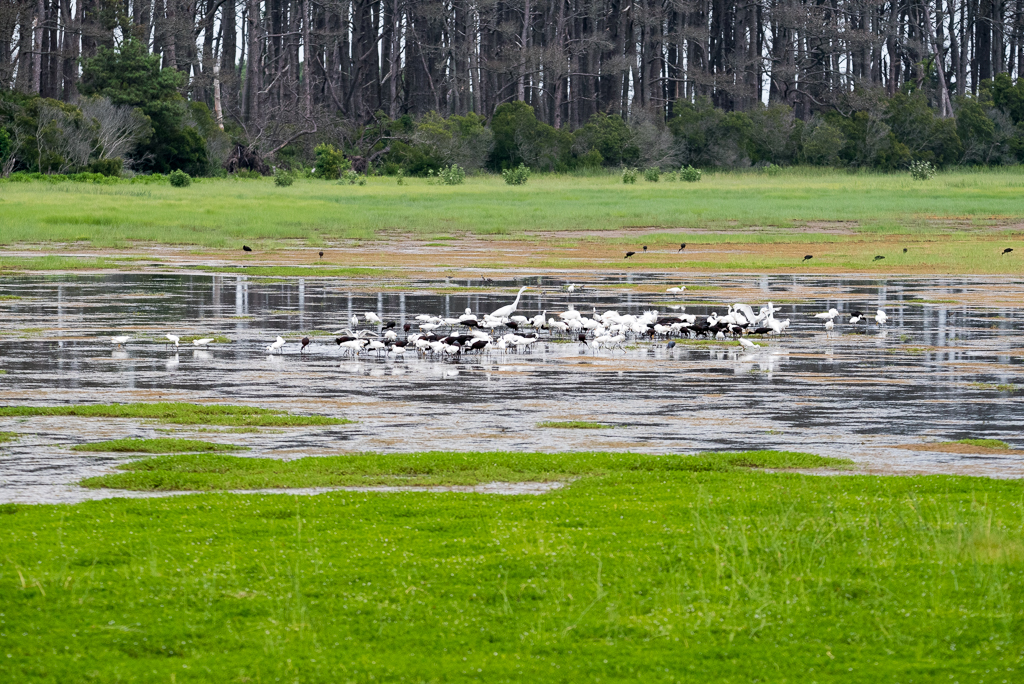 DSC_2022.jpg