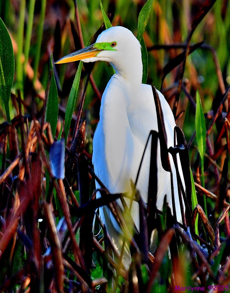 DSC_2023_001.JPG
