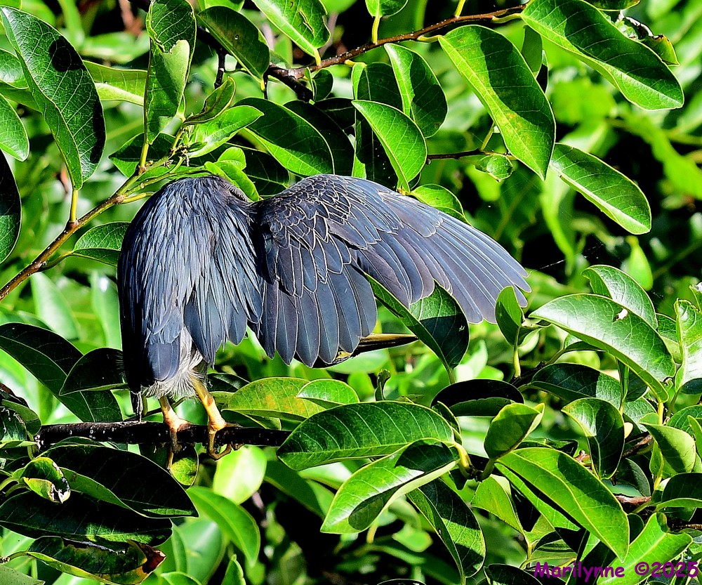 DSC_2027_001.JPG