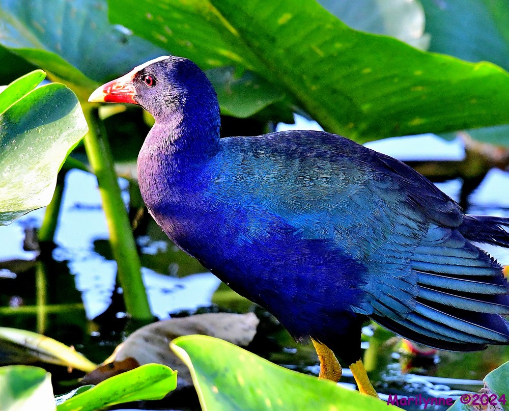 DSC_2028_001.JPG