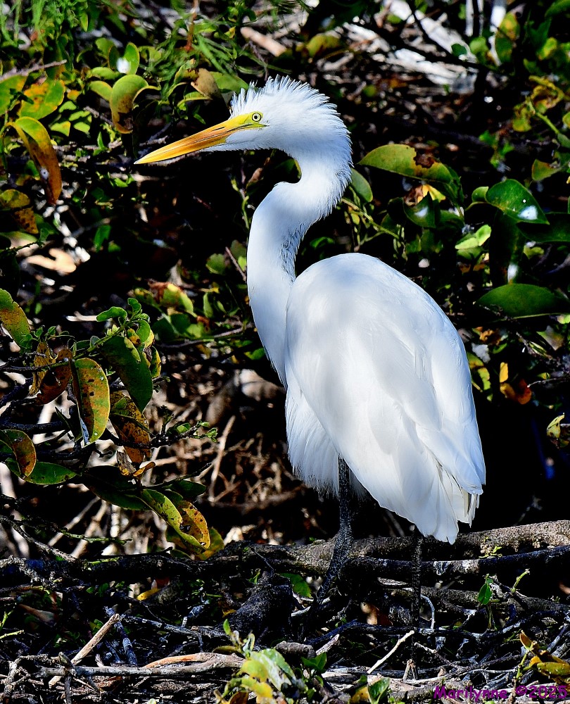 DSC_2028_001.JPG