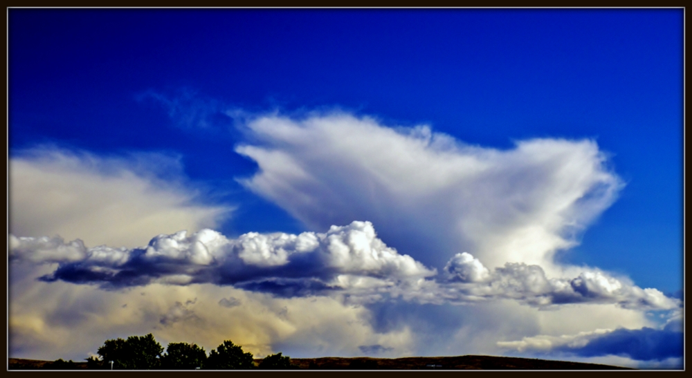 DSC_2030.jpg