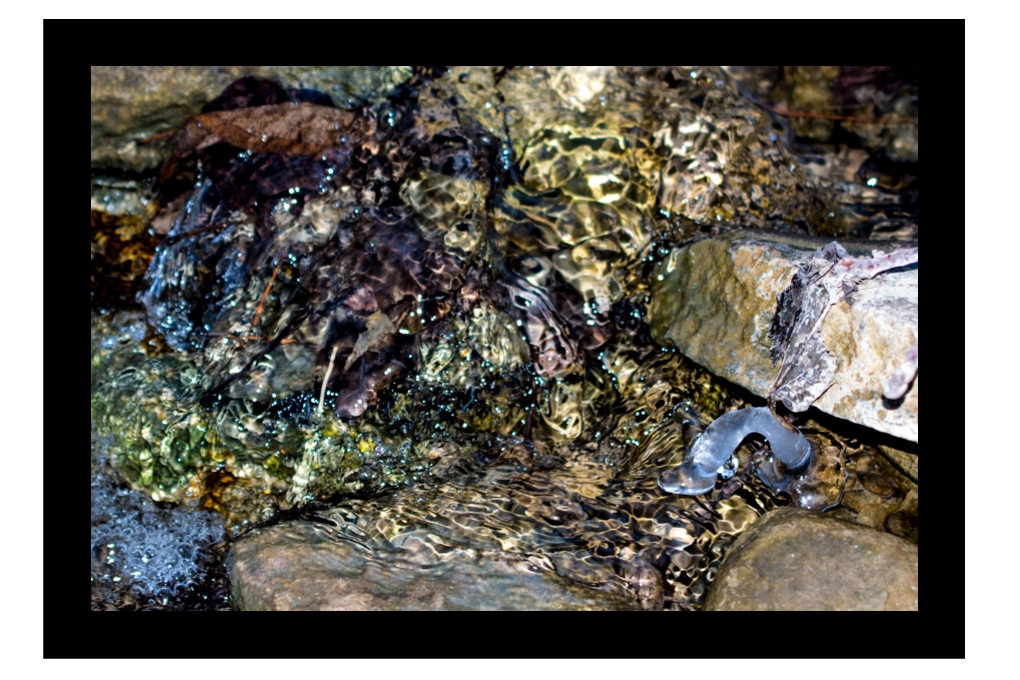 DSC_2030_PTF_2.jpg