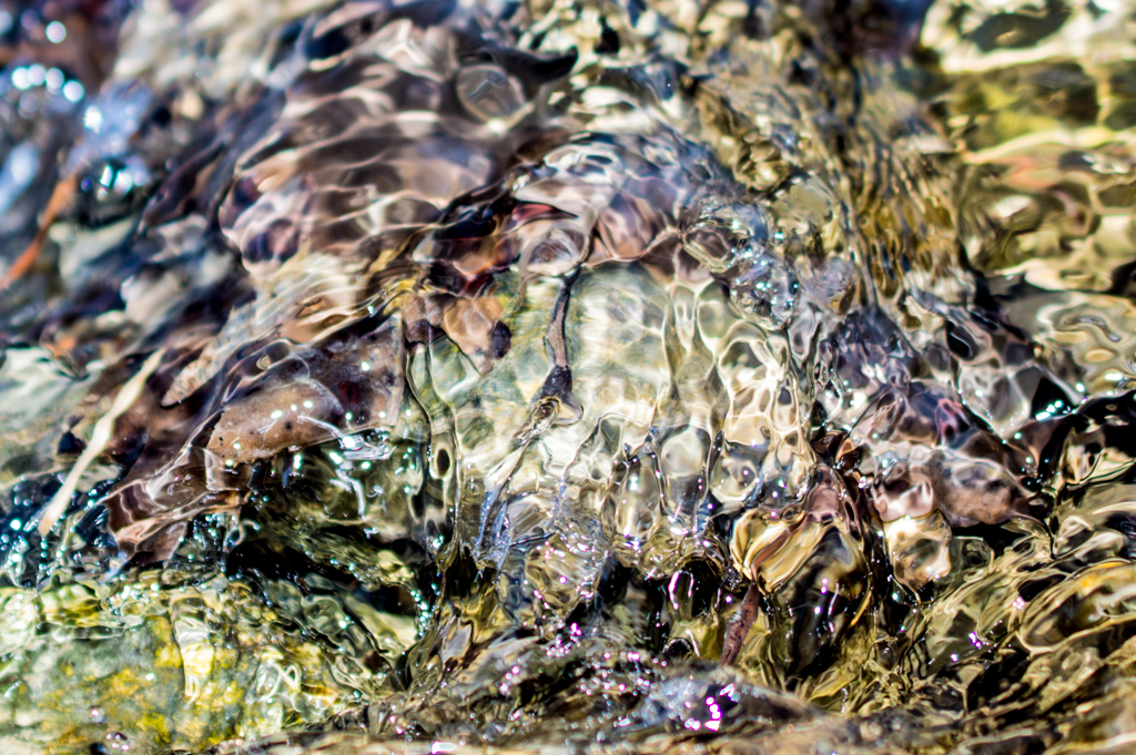 DSC_2031_150227_1024_001.jpg DSC_2031_150227_1024_001.jpg