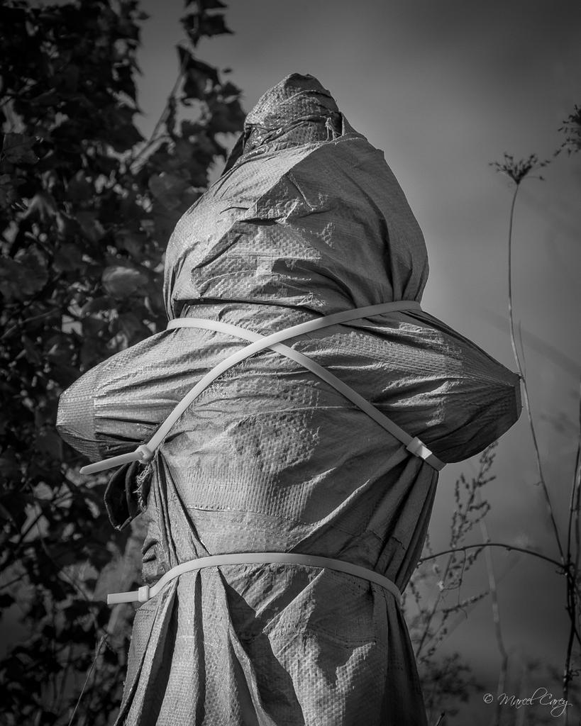 DSC_2033.jpg