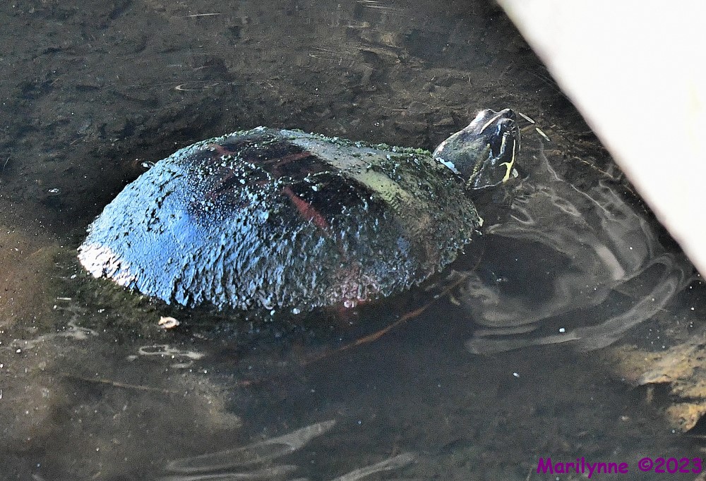DSC_2035_001.JPG