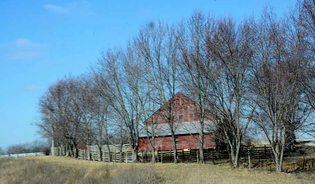 DSC_2037.jpg