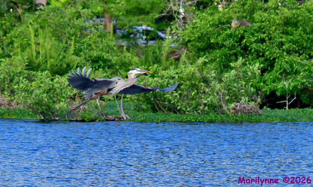 DSC_2040_001.JPG