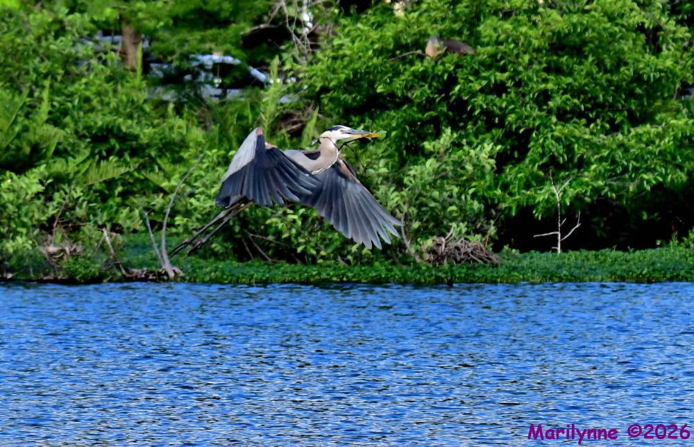 DSC_2041_001.JPG