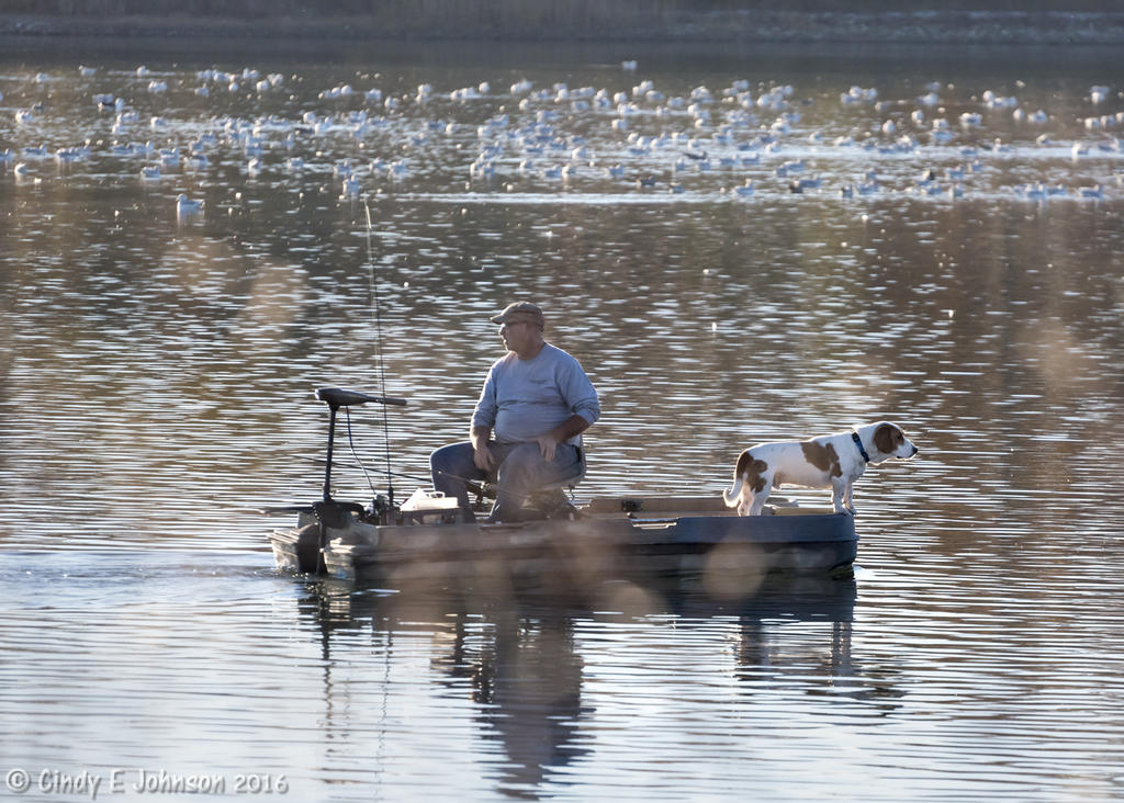 DSC_2043 low res.jpg