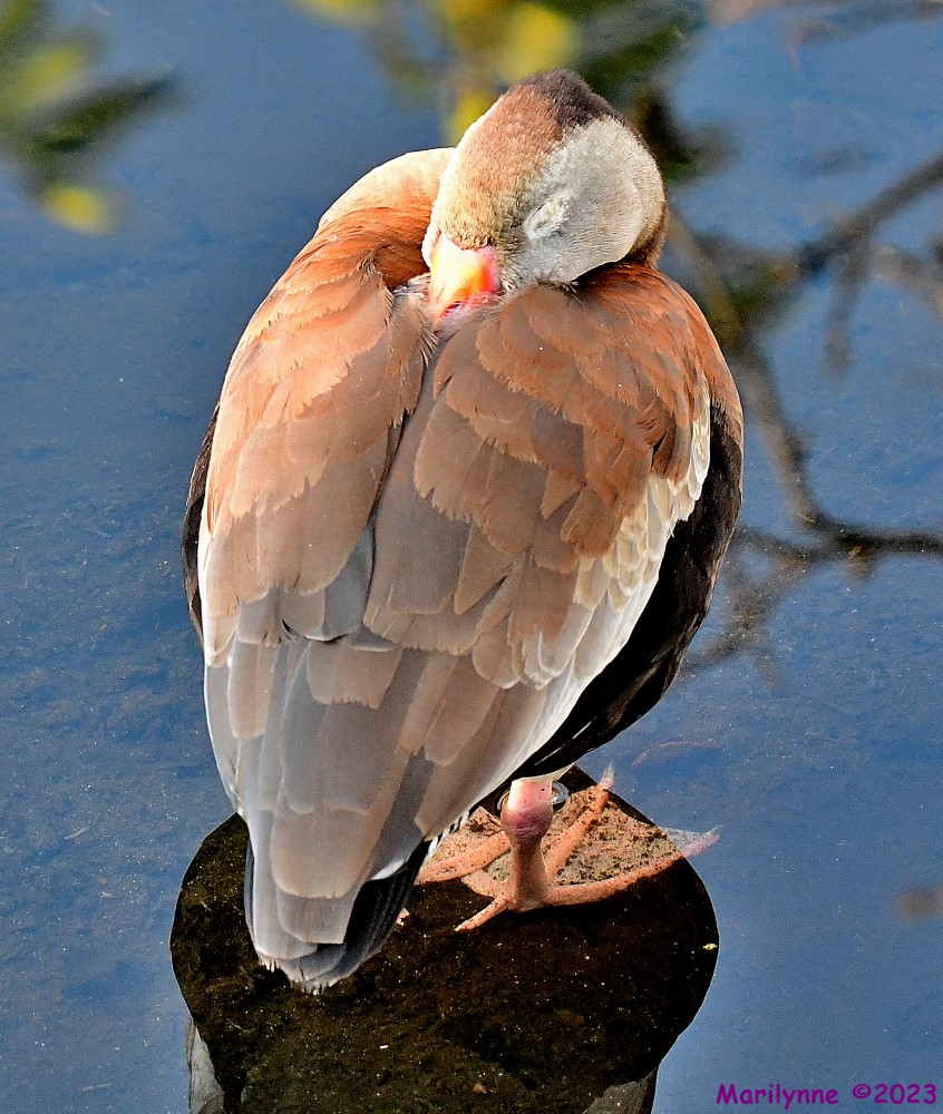 DSC_2043_001.JPG