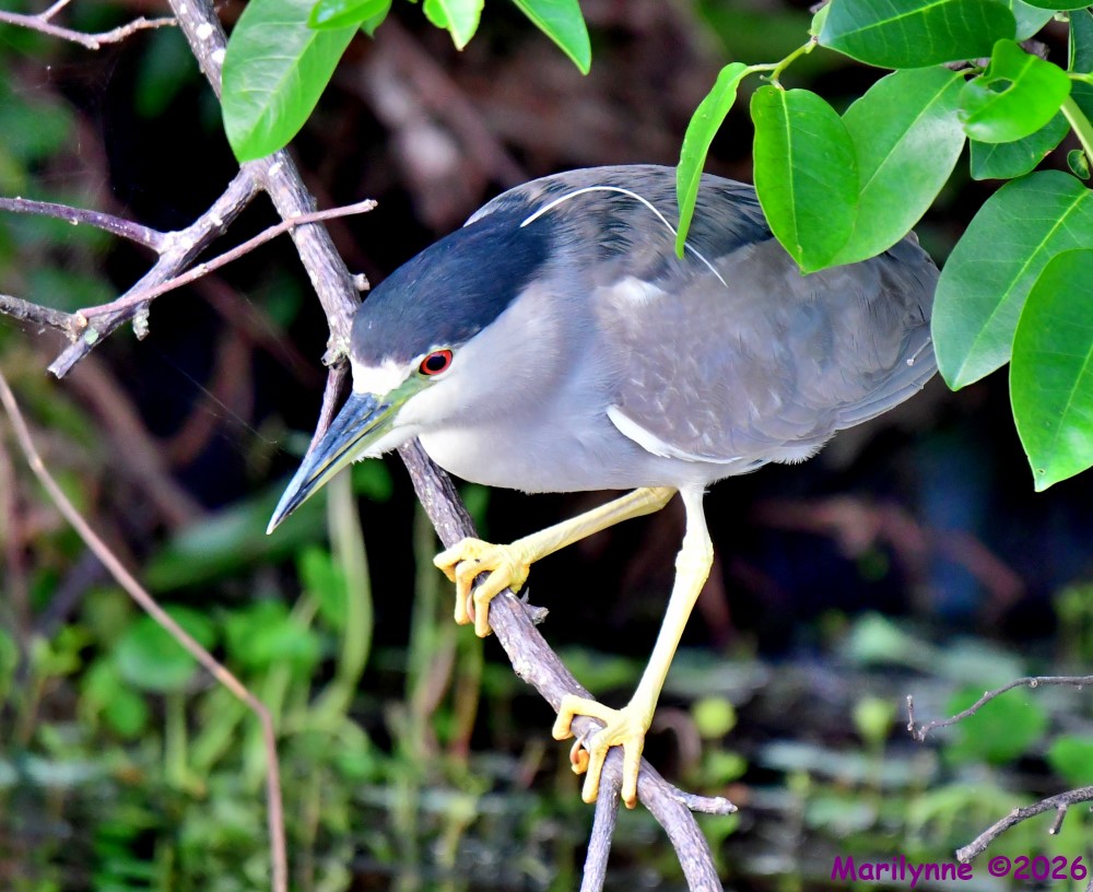 DSC_2046_001.JPG