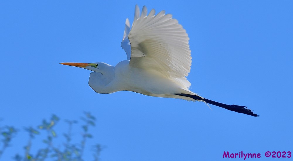 DSC_2049_001.JPG