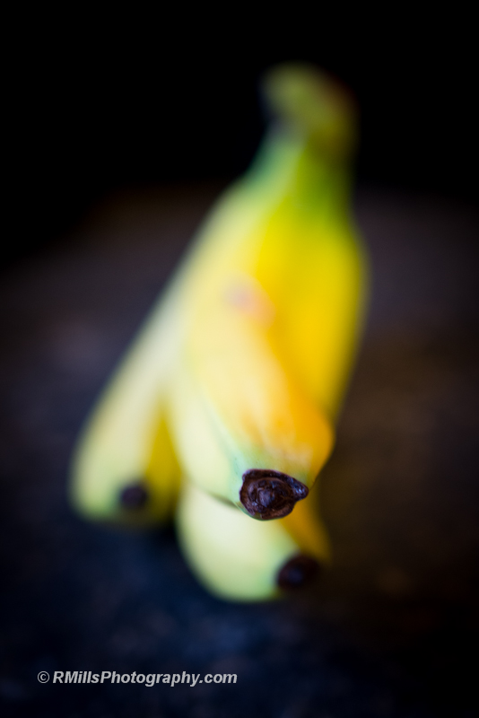 DSC_2049_5194.jpg