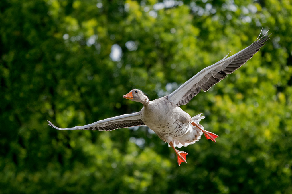 DSC_2054.jpg