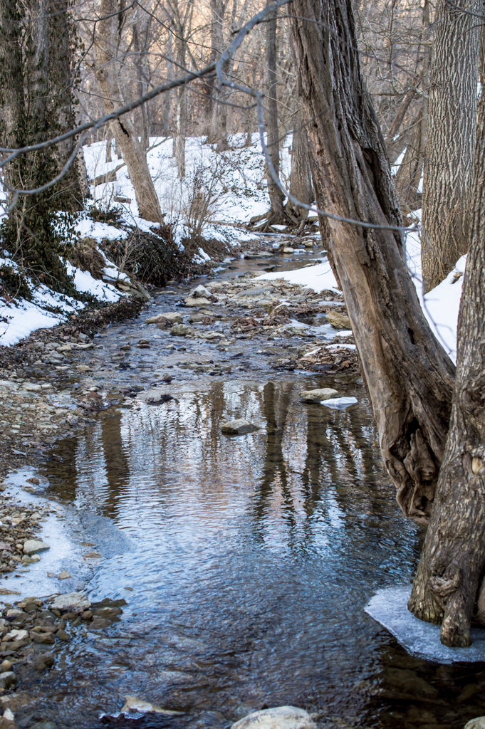 DSC_2056_150227_1024_001.jpg