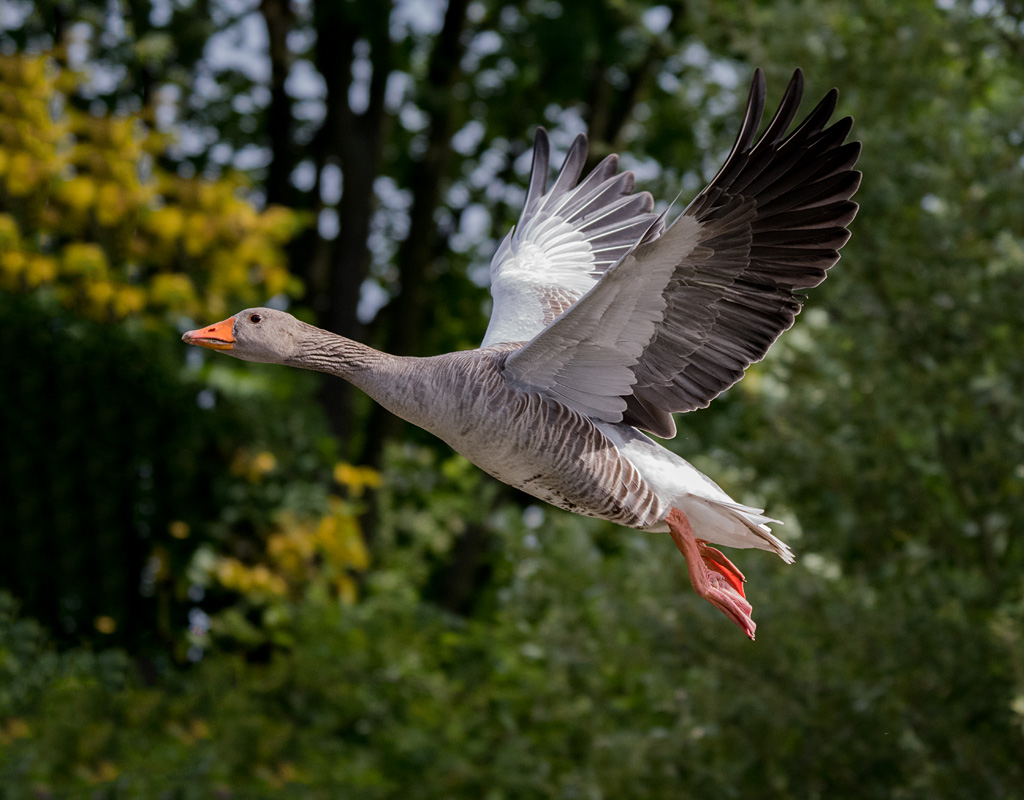 DSC_2057.jpg