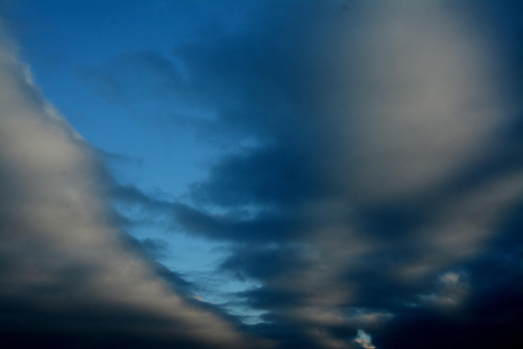 DSC_2059.jpg