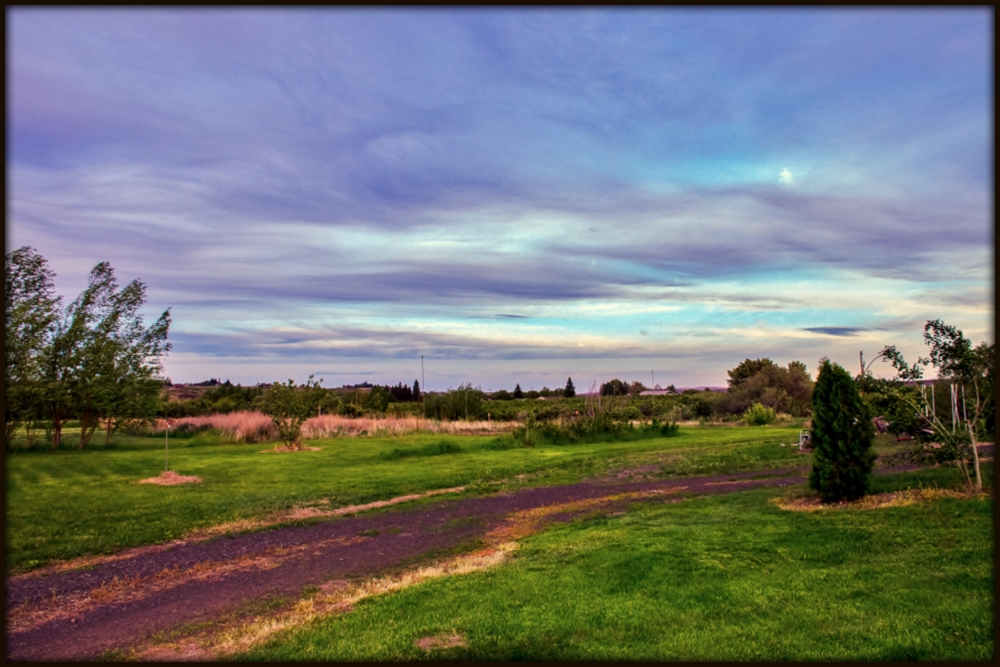 DSC_2060.jpg