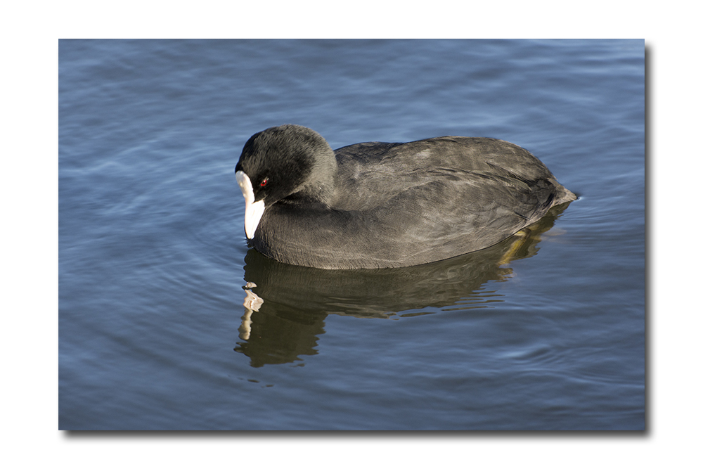 DSC_2061.jpg
