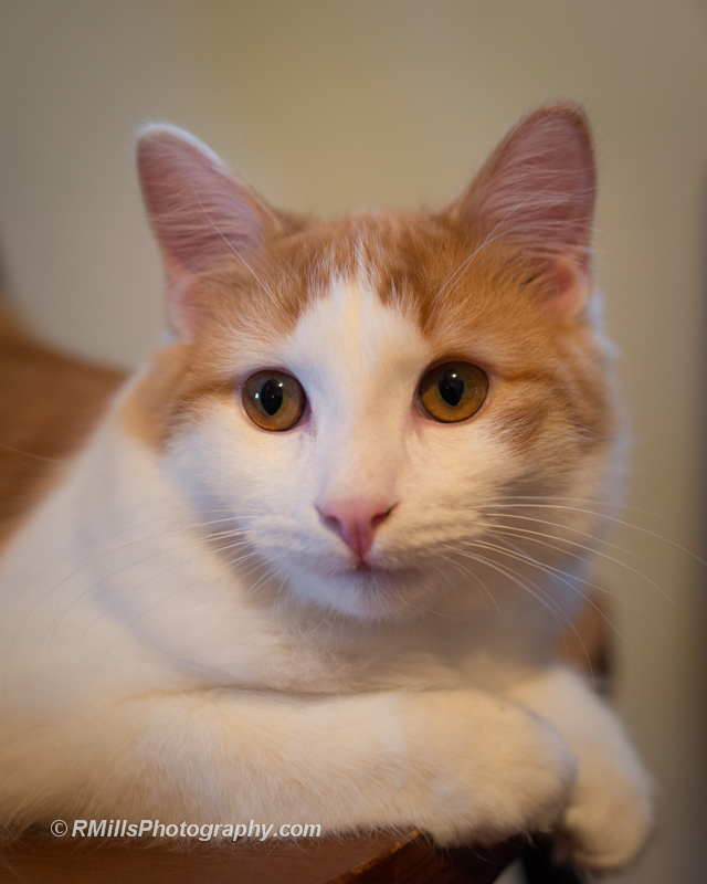 DSC_2061_5202.jpg