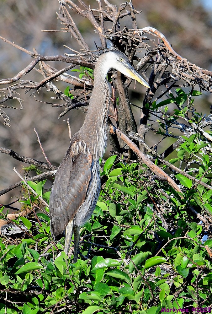 DSC_2070_001.JPG