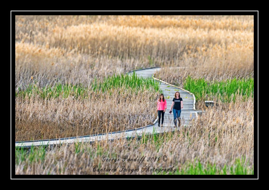 DSC_2073_Web.jpg